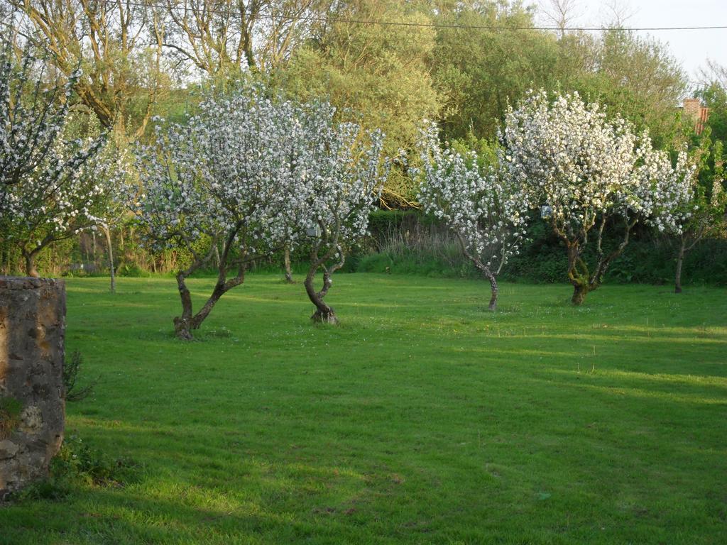 Domaine De La Ronville Wimereux Luaran gambar